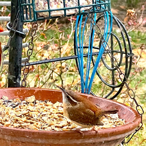 🪺Welcome to my closet🪺 - Picture 4 of 15